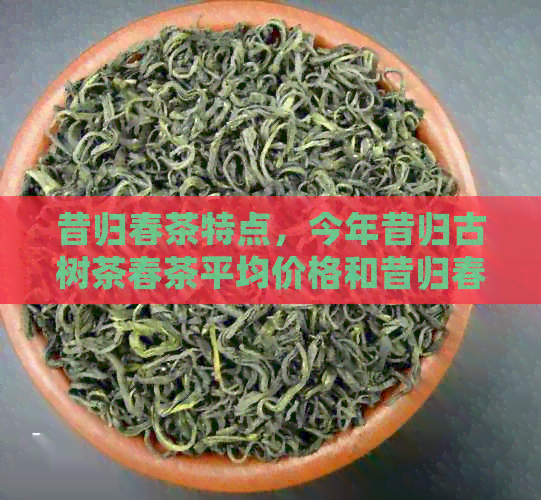 昔归春茶特点，今年昔归古树茶春茶平均价格和昔归春茶和秋茶的区别。