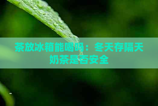 茶放冰箱能喝吗：冬天存隔天奶茶是否安全