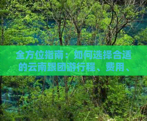 全方位指南：如何选择合适的云南跟团     程、费用、注意事项以及必备物品