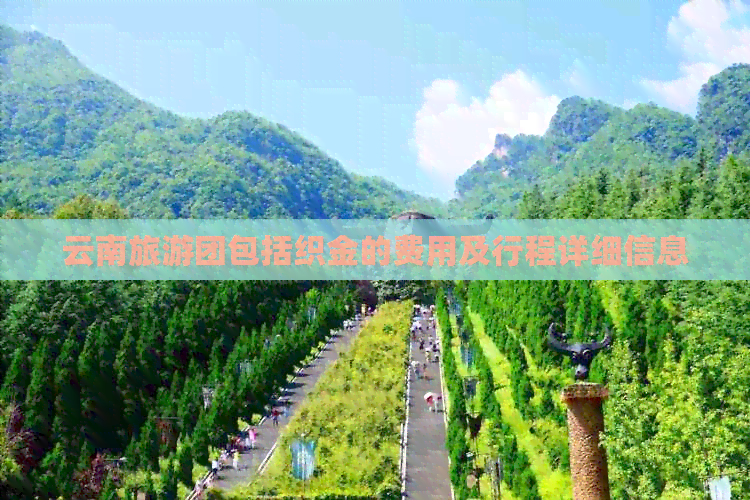 云南旅游团包括织金的费用及行程详细信息