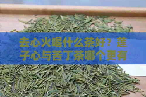 去心火喝什么茶好？莲子心与苦丁茶哪个更有效？快速缓解心火的茶饮推荐