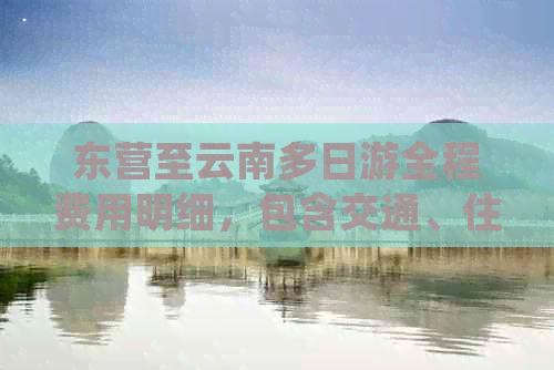 东营至云南多日游全程费用明细，包含交通、住宿、餐饮等项目的价格解析