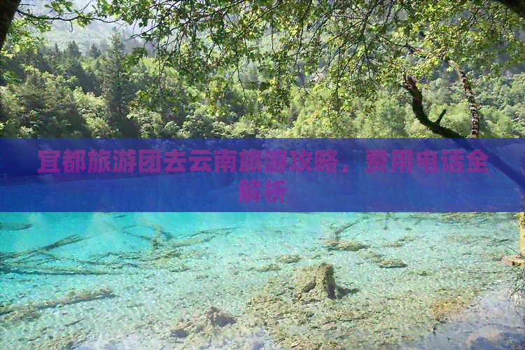 宜都旅游团去云南旅游攻略，费用电话全解析