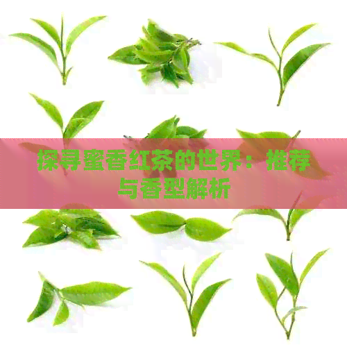 探寻蜜香红茶的世界：推荐与香型解析