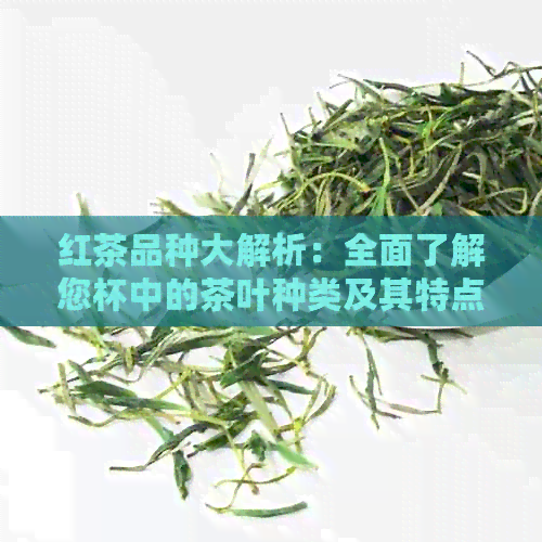 红茶品种大解析：全面了解您杯中的茶叶种类及其特点