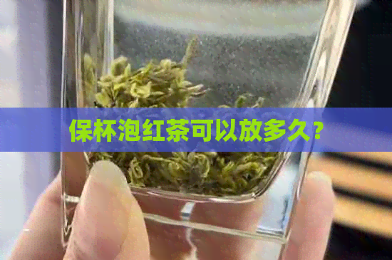 保杯泡红茶可以放多久？