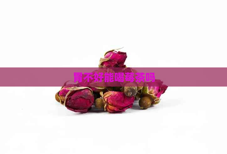 胃不好能喝莓茶吗