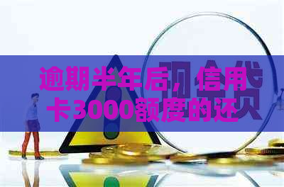 逾期半年后，信用卡3000额度的还款知识总结