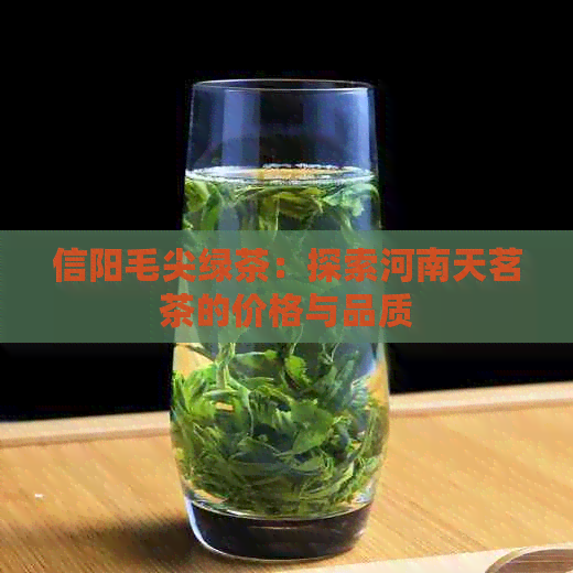 信阳毛尖绿茶：探索河南天茗茶的价格与品质