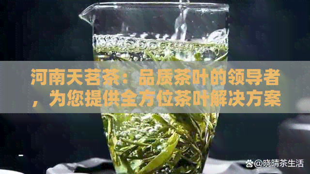 河南天茗茶：品质茶叶的领导者，为您提供全方位茶叶解决方案