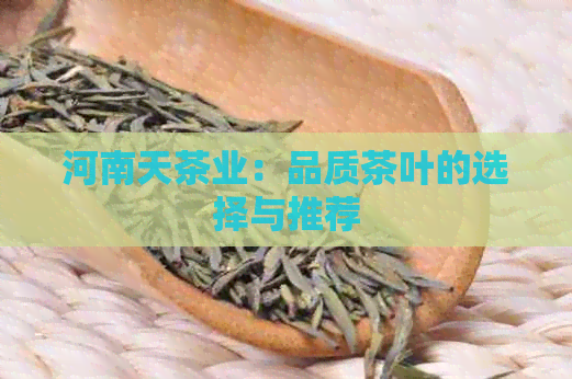 河南天茶业：品质茶叶的选择与推荐