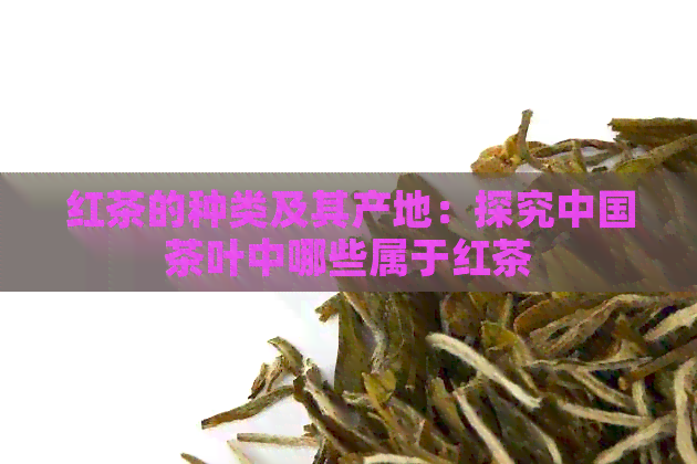 红茶的种类及其产地：探究中国茶叶中哪些属于红茶