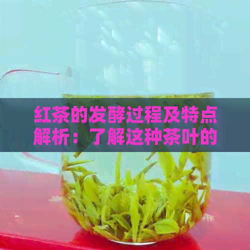 红茶的发酵过程及特点解析：了解这种茶叶的全貌