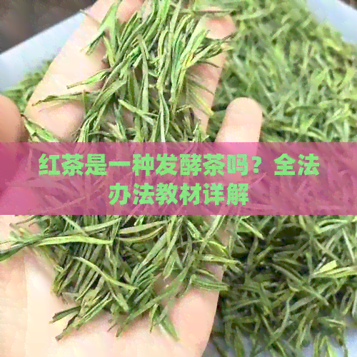 红茶是一种发酵茶吗？全法办法教材详解