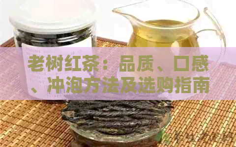 老树红茶：品质、口感、冲泡方法及选购指南，制茶世家的权威解答