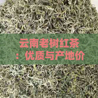 云南老树红茶：优质与产地价格分析