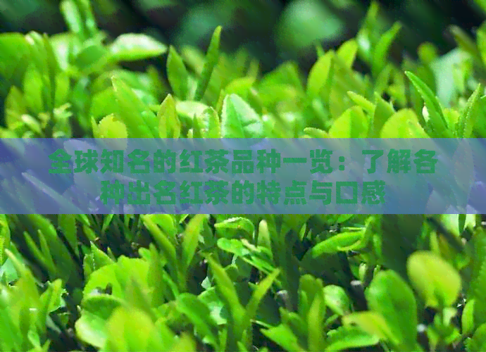 全球知名的红茶品种一览：了解各种出名红茶的特点与口感