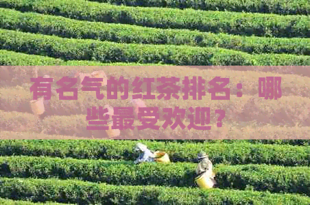 有名气的红茶排名：哪些更受欢迎？