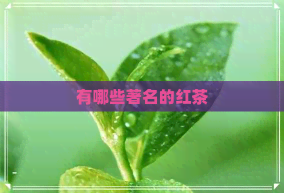 有哪些著名的红茶