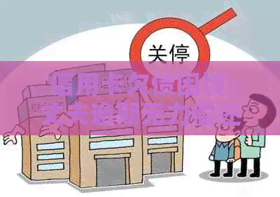 '信用卡欠债困境：丈夫逾期无力偿还，妻子如何维护自身权益？'