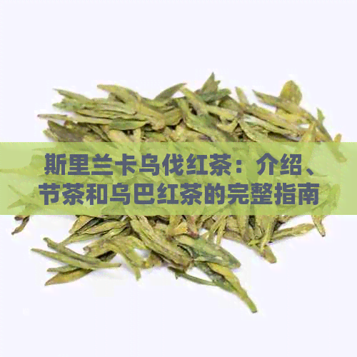 斯里兰卡乌伐红茶：介绍、节茶和乌巴红茶的完整指南