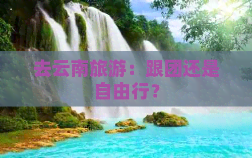 去云南旅游：跟团还是自由行？