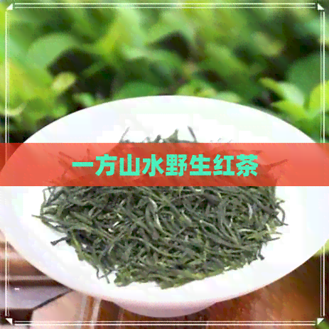 一方山水野生红茶