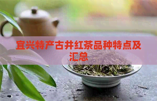 宜兴特产古井红茶品种特点及汇总