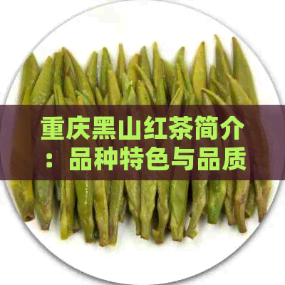 重庆黑山红茶简介：品种特色与品质评价，茶叶与公司概述，高山红茶的魅力。