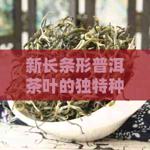 新长条形普洱茶叶的独特种类及其命名之道