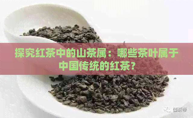 探究红茶中的山茶属：哪些茶叶属于中国传统的红茶？