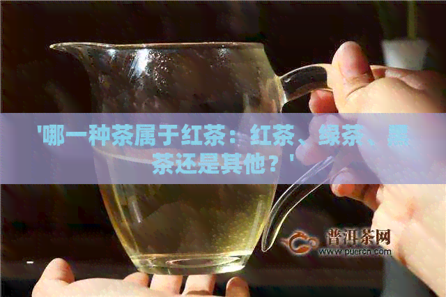 '哪一种茶属于红茶：红茶、绿茶、黑茶还是其他？'