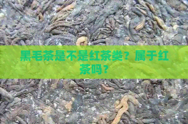 黑毛茶是不是红茶类？属于红茶吗？