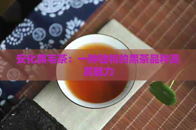 安化黑毛茶：一种独特的黑茶品种及其魅力