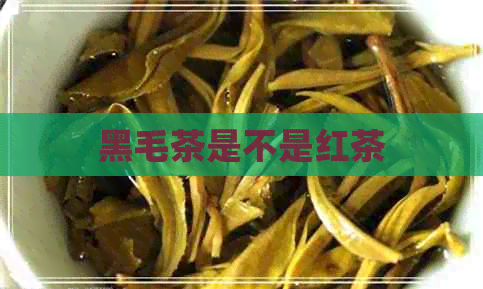 黑毛茶是不是红茶