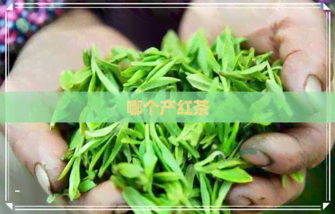 哪个产红茶