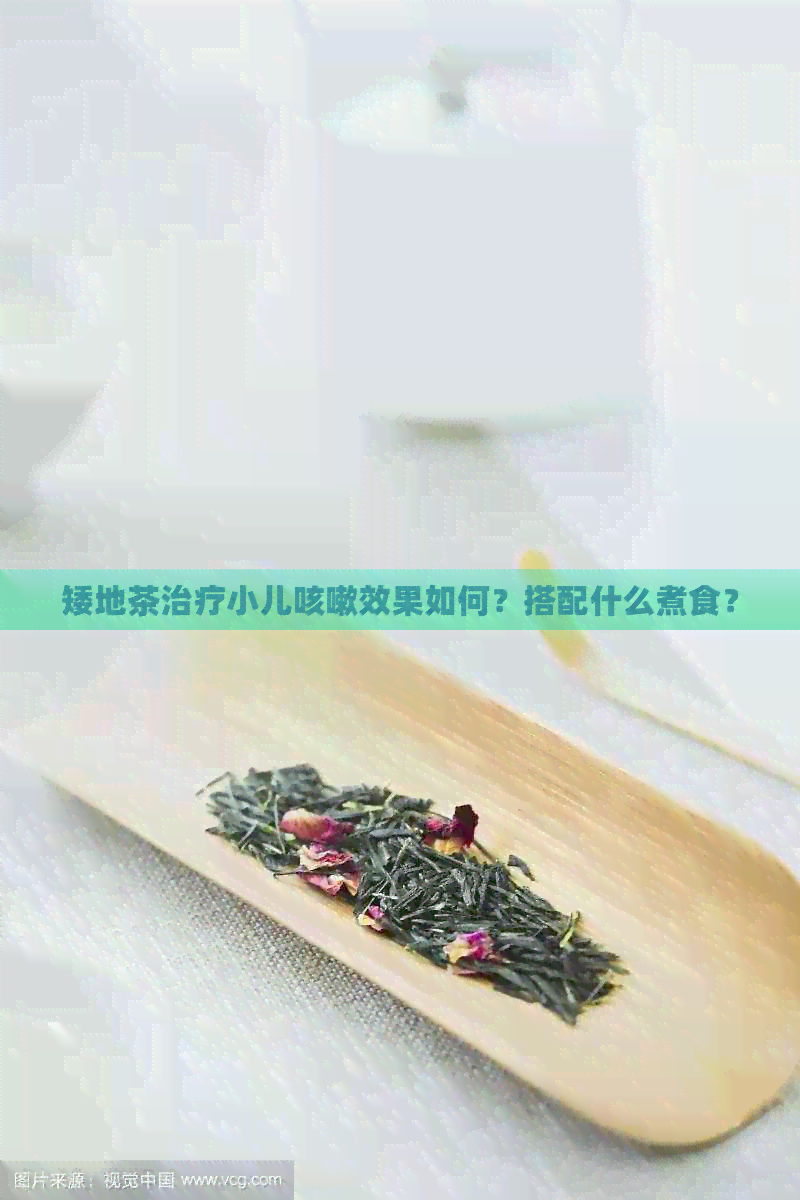 矮地茶治疗小儿咳嗽效果如何？搭配什么煮食？