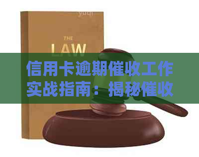 信用卡逾期工作实战指南：揭秘员的工作内容和要求