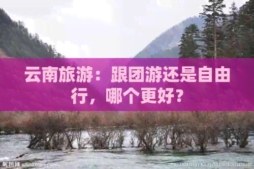 云南旅游：跟团游还是自由行，哪个更好？