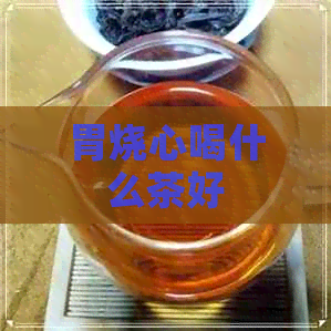 胃烧心喝什么茶好