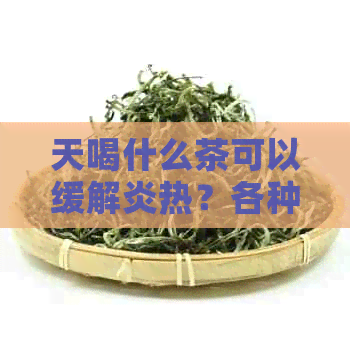 天喝什么茶可以缓解炎热？各种茶的清凉效果及其适用场景解析