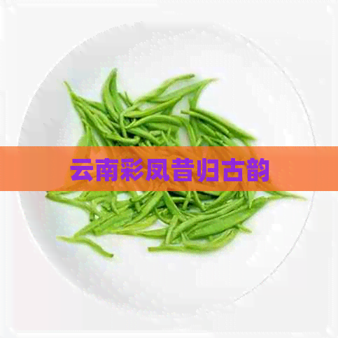 云南彩凤昔归古韵