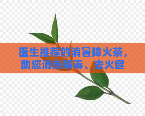 医生推荐的消暑降火茶，助您清热解、去火健