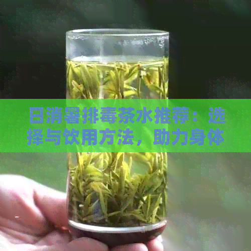 日消暑排茶水推荐：选择与饮用方法，助力身体净化