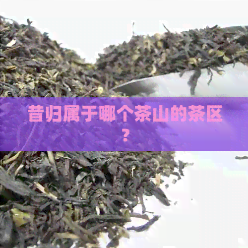 昔归属于哪个茶山的茶区？