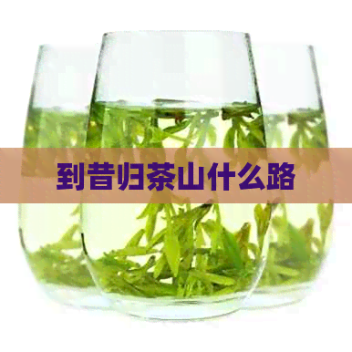 到昔归茶山什么路