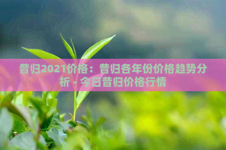 昔归2021价格：昔归各年份价格趋势分析 - 今日昔归价格行情