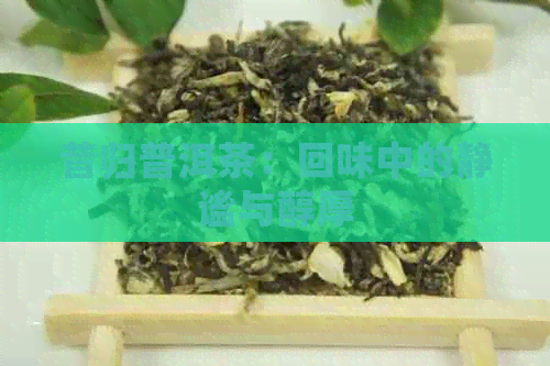 昔归普洱茶：回味中的静谧与醇厚