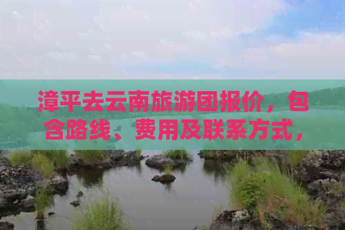 漳平去云南旅游团报价，包含路线、费用及联系方式，距离约1500公里。