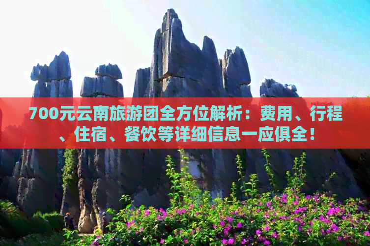 700元云南旅游团全方位解析：费用、行程、住宿、餐饮等详细信息一应俱全！